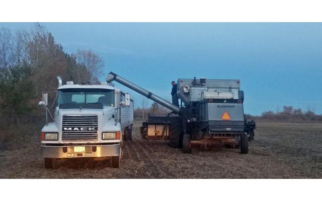 1979 Gleaner L2 Combine For Sale In Gary, Minnesota 56545